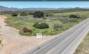 3.9 HA. EN EL ACCESO A SASSI DEL VALLE, VALLE DE GUADALUPE