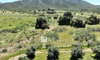 3.9 HA. EN EL ACCESO A SASSI DEL VALLE, VALLE DE GUADALUPE