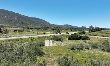 3.9 HA. EN EL ACCESO A SASSI DEL VALLE, VALLE DE GUADALUPE