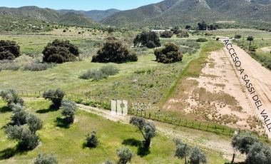 3.9 HA. EN EL ACCESO A SASSI DEL VALLE, VALLE DE GUADALUPE