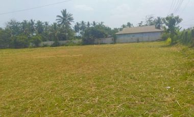 Dijual Cepat Tanah di Panimbang Banten 1.5 Ha PINGGIR JALAN