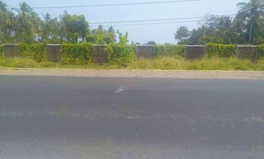 Dijual Cepat Tanah di Panimbang Banten 1.5 Ha PINGGIR JALAN