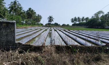 Dijual Cepat Tanah di Panimbang Banten 1.5 Ha PINGGIR JALAN