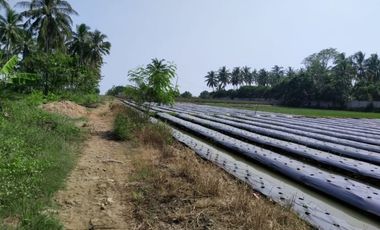 Dijual Cepat Tanah di Panimbang Banten 1.5 Ha PINGGIR JALAN