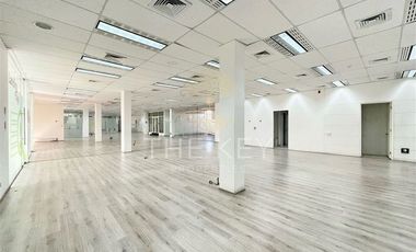Oficina en Arriendo en Bellavista - Paso Hondo