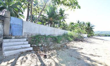 Beach Lot for Sale in Luyang Carmen Cebu