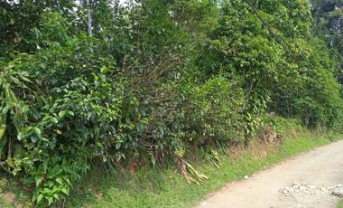 Jual murah tanah kebun View Bagus Pegunungan Pedesaan pawenang Bojong Purwakarta Jawa Barat