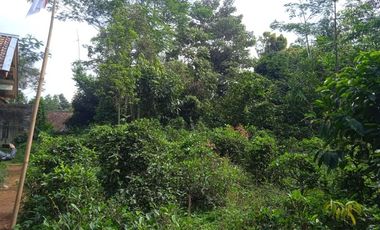 Jual murah tanah kebun View Bagus Pegunungan Pedesaan pawenang Bojong Purwakarta Jawa Barat