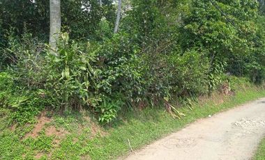 Jual murah tanah kebun View Bagus Pegunungan Pedesaan pawenang Bojong Purwakarta Jawa Barat