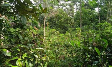 Jual murah tanah kebun View Bagus Pegunungan Pedesaan pawenang Bojong Purwakarta Jawa Barat