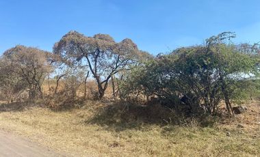 Terreno rústico en venta a 5 min de la VFG, por carretera Guadalajara-Chapala