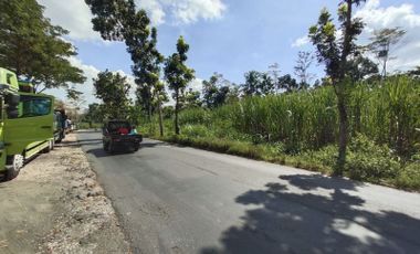 Tanah di jalan raya provinsi wonorejo lumajang