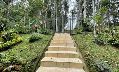 Se vende casa en Altos de Cerro Azul, Altos de Cerro Azul