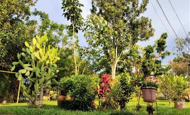 finca en venta en combia. Cod V15748