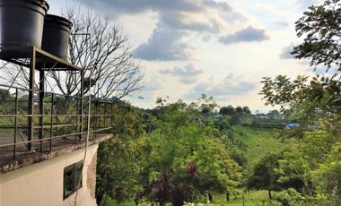 finca en venta en combia. Cod V15748