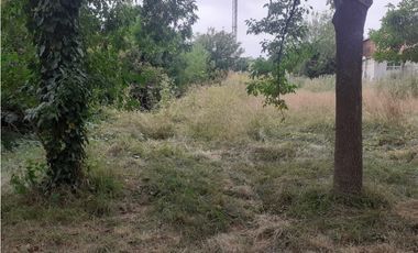 Terreno/ Estación Camet