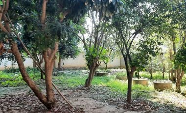 BEAUTIFUL 5 RAI WITH 5 HOUSES AND FRUIT GARDENS JUST 10 KM FROM DOWNTOWN KANCHANABURI!!!