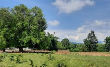 BEAUTIFUL 5 RAI WITH 5 HOUSES AND FRUIT GARDENS JUST 10 KM FROM DOWNTOWN KANCHANABURI!!!