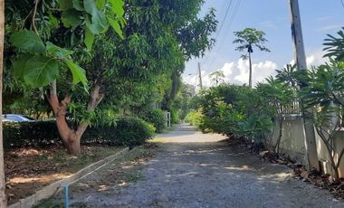 BEAUTIFUL 5 RAI WITH 5 HOUSES AND FRUIT GARDENS JUST 10 KM FROM DOWNTOWN KANCHANABURI!!!