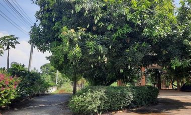 BEAUTIFUL 5 RAI WITH 5 HOUSES AND FRUIT GARDENS JUST 10 KM FROM DOWNTOWN KANCHANABURI!!!