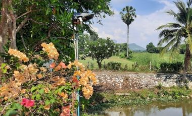 BEAUTIFUL 5 RAI WITH 5 HOUSES AND FRUIT GARDENS JUST 10 KM FROM DOWNTOWN KANCHANABURI!!!
