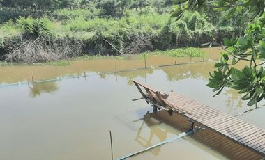 BEAUTIFUL 5 RAI WITH 5 HOUSES AND FRUIT GARDENS JUST 10 KM FROM DOWNTOWN KANCHANABURI!!!