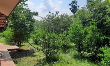 BEAUTIFUL 5 RAI WITH 5 HOUSES AND FRUIT GARDENS JUST 10 KM FROM DOWNTOWN KANCHANABURI!!!