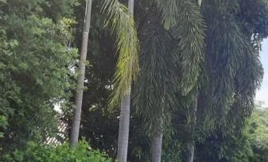 BEAUTIFUL 5 RAI WITH 5 HOUSES AND FRUIT GARDENS JUST 10 KM FROM DOWNTOWN KANCHANABURI!!!