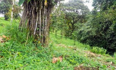 Lotes de Terreno Venta sector  Los Bancos Forme parte de Este Hermoso Proyecto.