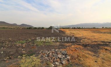 COMONFORT: MAGNIFICO TERRENO, USO INDUSTRIAL, RESIDENCIAL O AGRÍCOLA.