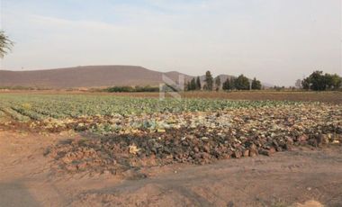 COMONFORT: MAGNIFICO TERRENO, USO INDUSTRIAL, RESIDENCIAL O AGRÍCOLA.