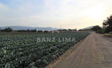 COMONFORT: MAGNIFICO TERRENO, USO INDUSTRIAL, RESIDENCIAL O AGRÍCOLA.