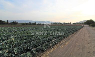 COMONFORT: MAGNIFICO TERRENO, USO INDUSTRIAL, RESIDENCIAL O AGRÍCOLA.