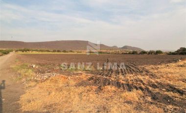 COMONFORT: MAGNIFICO TERRENO, USO INDUSTRIAL, RESIDENCIAL O AGRÍCOLA.