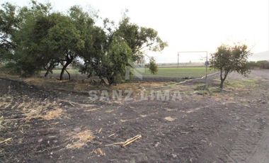 COMONFORT: MAGNIFICO TERRENO, USO INDUSTRIAL, RESIDENCIAL O AGRÍCOLA.