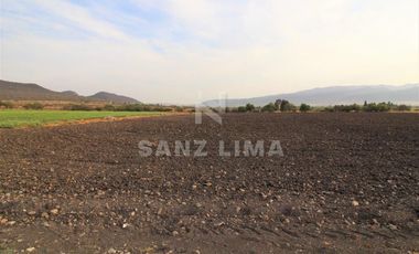 COMONFORT: MAGNIFICO TERRENO, USO INDUSTRIAL, RESIDENCIAL O AGRÍCOLA.