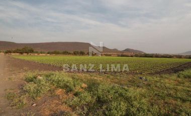 COMONFORT: MAGNIFICO TERRENO, USO INDUSTRIAL, RESIDENCIAL O AGRÍCOLA.
