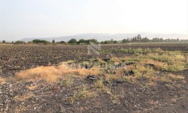 COMONFORT: MAGNIFICO TERRENO, USO INDUSTRIAL, RESIDENCIAL O AGRÍCOLA.