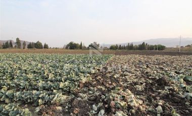 COMONFORT: MAGNIFICO TERRENO, USO INDUSTRIAL, RESIDENCIAL O AGRÍCOLA.