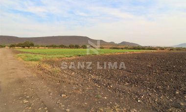 COMONFORT: MAGNIFICO TERRENO, USO INDUSTRIAL, RESIDENCIAL O AGRÍCOLA.