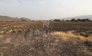 COMONFORT: MAGNIFICO TERRENO, USO INDUSTRIAL, RESIDENCIAL O AGRÍCOLA.