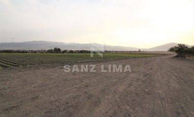 COMONFORT: MAGNIFICO TERRENO, USO INDUSTRIAL, RESIDENCIAL O AGRÍCOLA.