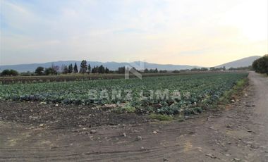 COMONFORT: MAGNIFICO TERRENO, USO INDUSTRIAL, RESIDENCIAL O AGRÍCOLA.