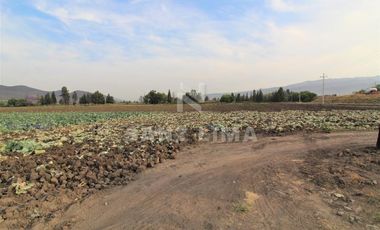 COMONFORT: MAGNIFICO TERRENO, USO INDUSTRIAL, RESIDENCIAL O AGRÍCOLA.