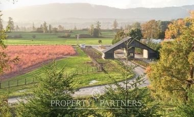 Parcela en loteo con acceso al lago Ranco