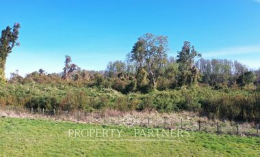 Parcela en loteo con acceso al lago Ranco
