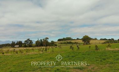 Parcela en loteo con acceso al lago Ranco