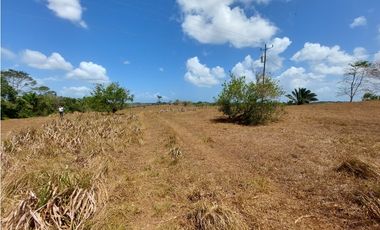 Se vende finca de 8 Has en Chorrera Zanguengas JS