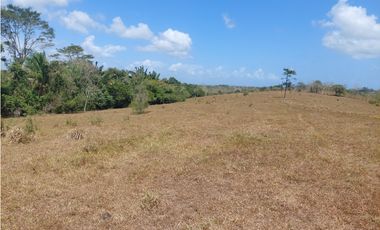 Se vende finca de 8 Has en Chorrera Zanguengas JS