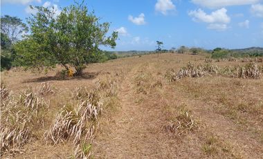 Se vende finca de 8 Has en Chorrera Zanguengas JS
